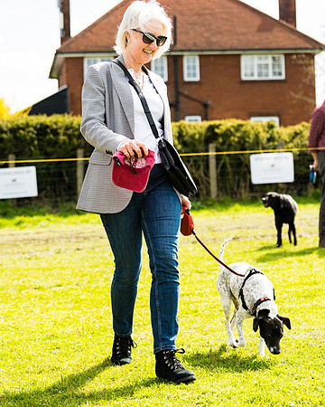 Dog show etc (91 of 157)