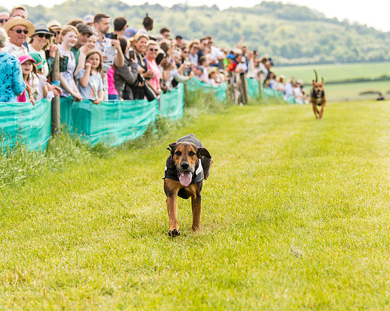 Draghounds Race (124 of 212)
