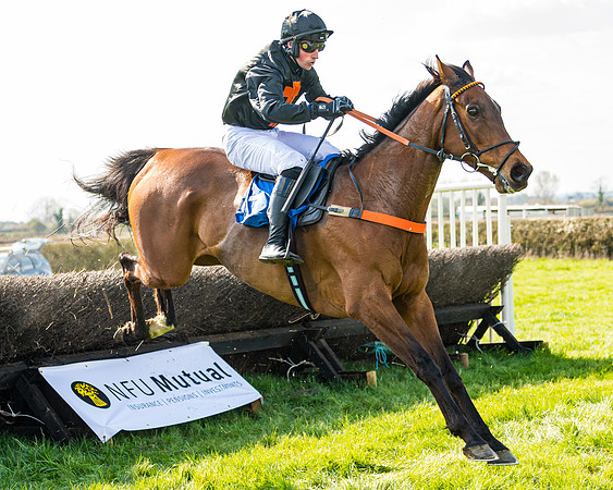 Race 4 - The Warehouse Reit Mixed Open Race  (61 of 124)