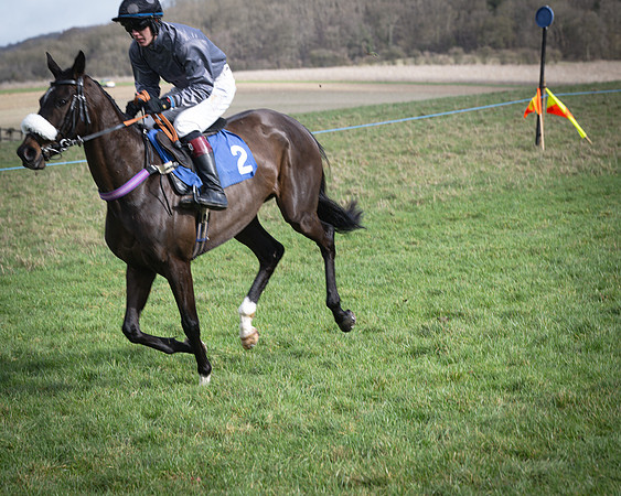 Race 1 - Four and Five year Old Maiden (60 of 137)