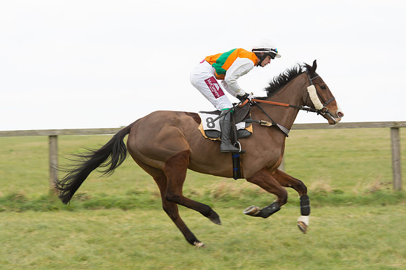 Race 2 - PPORA Novice riders  (10 of 186).jpg