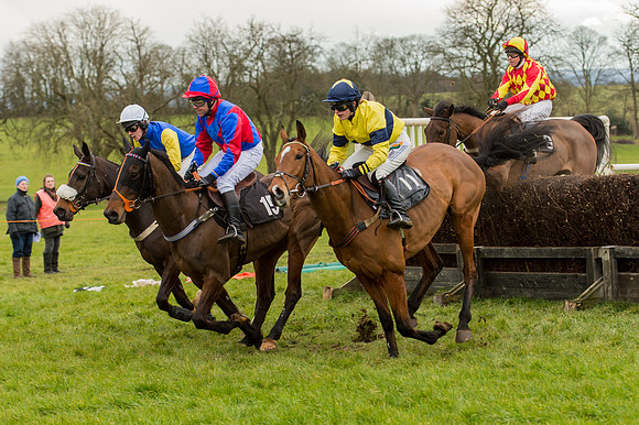 Race 5 - Open Maiden (13 of 38).jpg