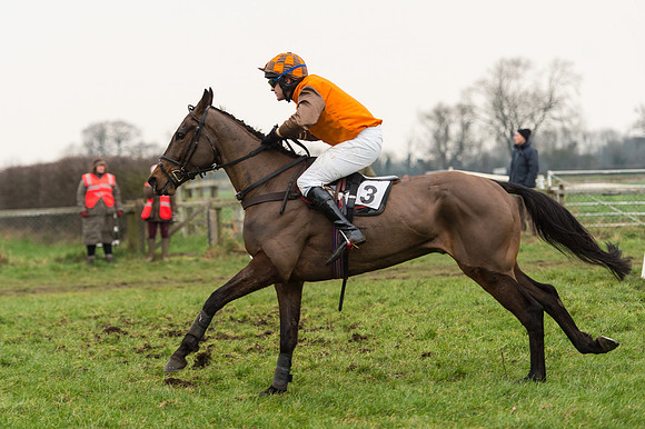 Race 6 - Open Maiden Div 2 (90 of 97).jpg