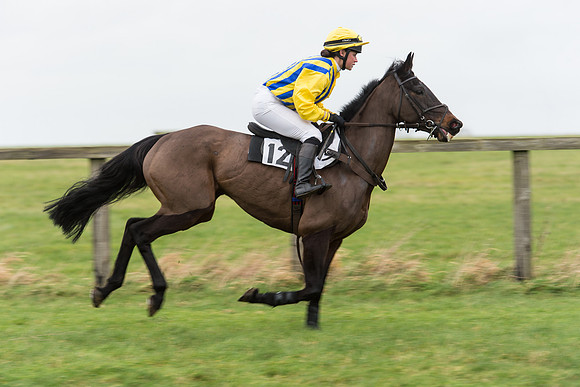 Race 7 - Open Maiden (59 of 131).jpg
