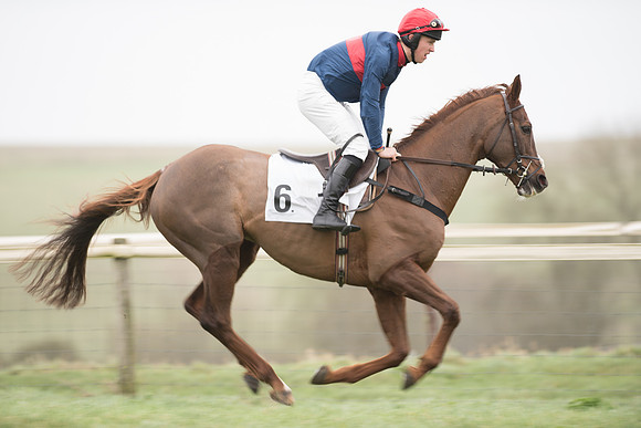 Race 1 - Novice Riders (31 of 86).jpg