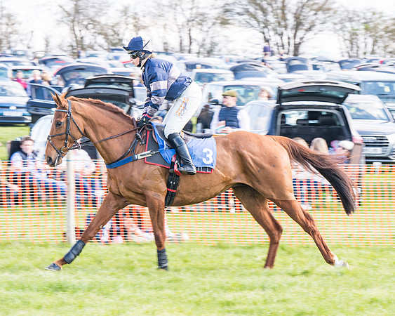 Race 4 - The Warehouse Reit Mixed Open Race  (22 of 124)