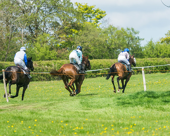 Race 2 - Veteran Horse  (41 of 82)