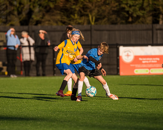 Under 12s --367