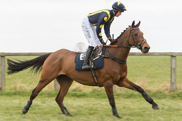 Race 2 - PPORA Novice riders  (57 of 186).jpg