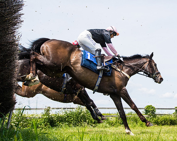 Race 1 - The Little Red owner Trainer conditions (170 of 345)