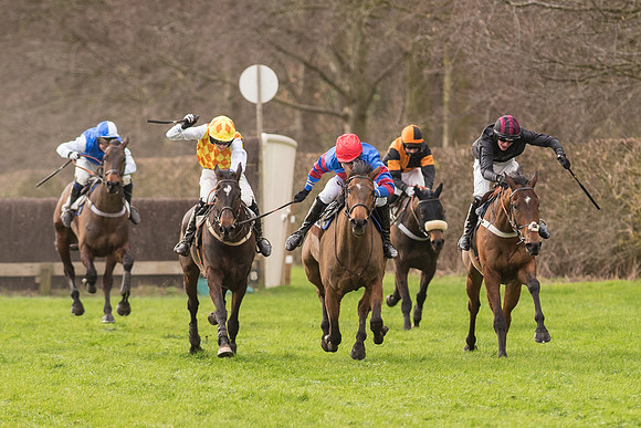 Race 2 - Young Horse Maiden (73 of 110)-2.jpg