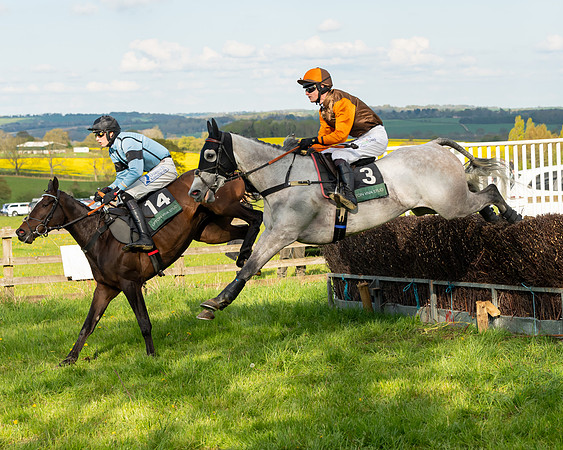 Race 7 - Maiden  (72 of 113)