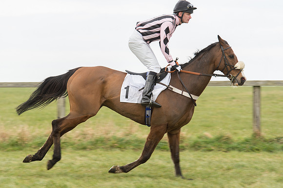 Race 2 - PPORA Novice riders  (63 of 186).jpg