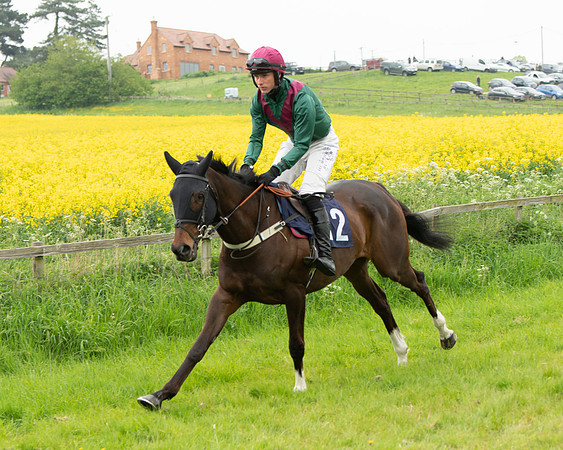 Race 2 - Five and Over restricted (34 of 136)