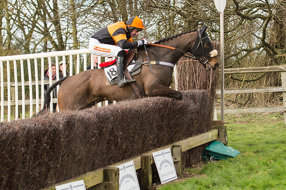Race 2 - Young Horse Maiden (94 of 110).jpg