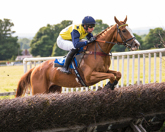 Race 6 - Open Maiden (137 of 346)