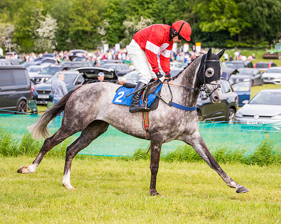 Race 6 - Open Maiden (87 of 346)