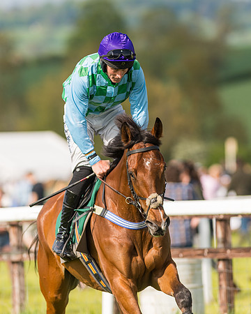 Race 5 - Restricted  (40 of 164)