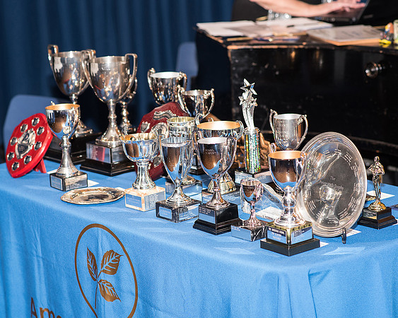 2015 Graduation evening (2 of 228)