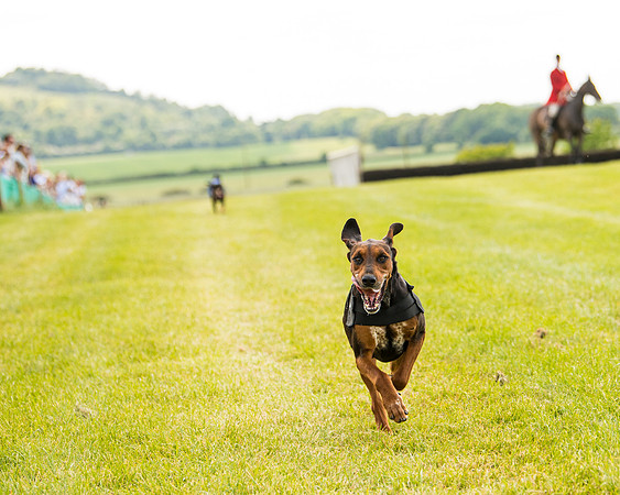 Draghounds Race (184 of 212)