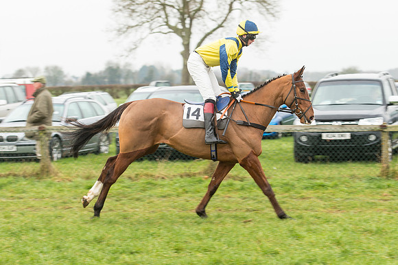 Race 2 - The Intermediate Race (6 of 78).jpg