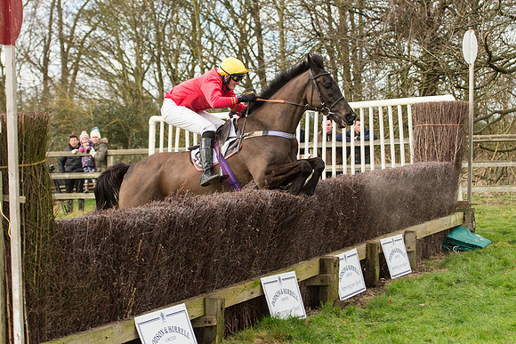 Race 2 - Young Horse Maiden (87 of 110).jpg
