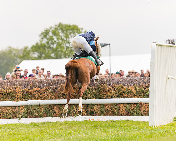 Race 2 - Owner-Trainer Conditions  (87 of 208)