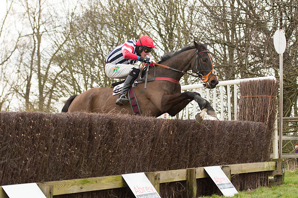 Race 2 - PPORA Novice riders  (143 of 186).jpg
