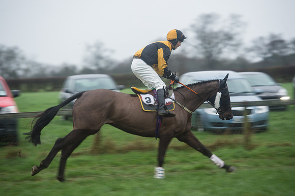Race 7 - Open Maiden DIvision 2  (48 of 131).jpg