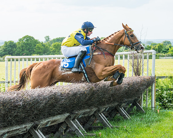 Race 6 - Open Maiden (248 of 346)