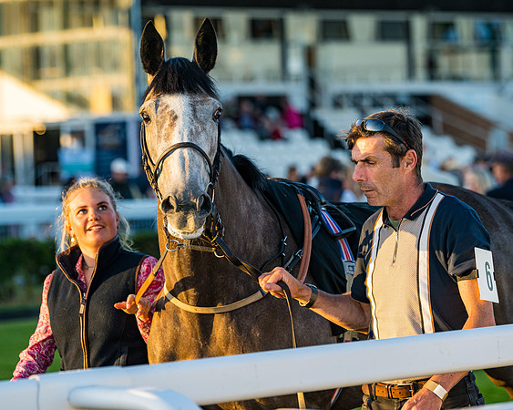 Race 7 - ITM NH Flat Race (40 of 197)