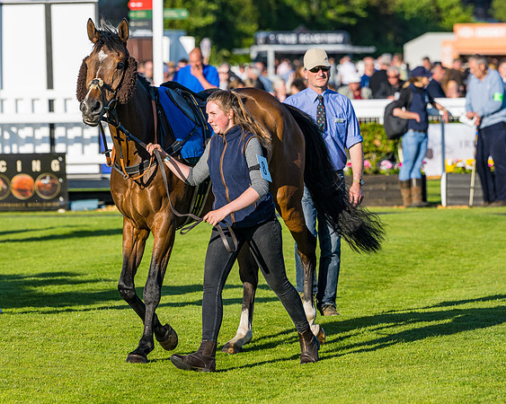 Race 4 - Foxhunters Championship (19 of 175)