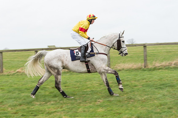 Race 7 - Open Maiden (36 of 131).jpg