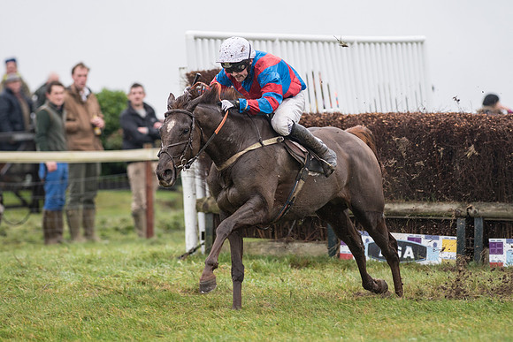 Race 5 - The Intermediate (47 of 59).jpg