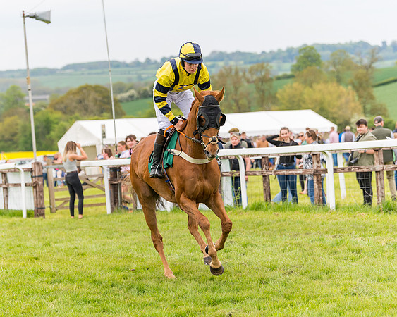 Race 7 - Veteran Horse conditions (79 of 244)