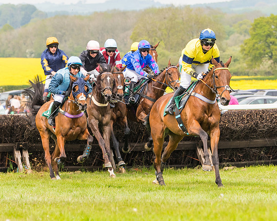 Race 2 - Owner-Trainer Conditions  (80 of 208)