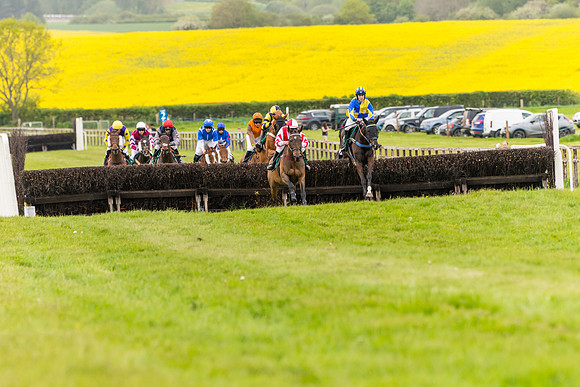 Race 7 - Veteran Horse conditions (102 of 244)