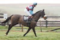 Race 5 - The Intermediate (17 of 59).jpg