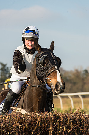 Race 5 - Restricted Race (12 of 64).jpg