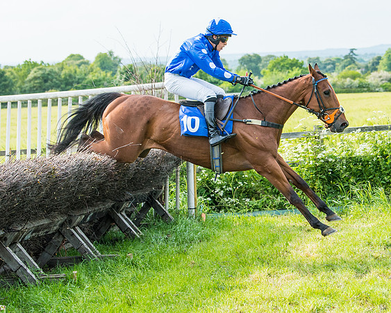 Race 6 - Open Maiden (242 of 346)