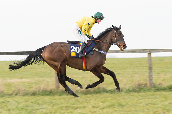 Race 6 Div 2 - Open Maiden  (44 of 131).jpg