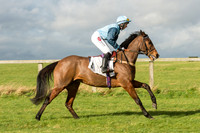 Race 2 - Young Horse Maiden (5 of 110).jpg
