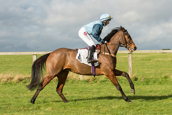 Race 2 - Young Horse Maiden (5 of 110).jpg