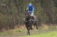 Pony Race 1 -  (10 of 20).jpg