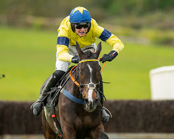 Race 5 - Open Maiden  (72 of 89)