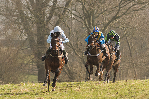 Pony Race 2 -  (4 of 32).jpg