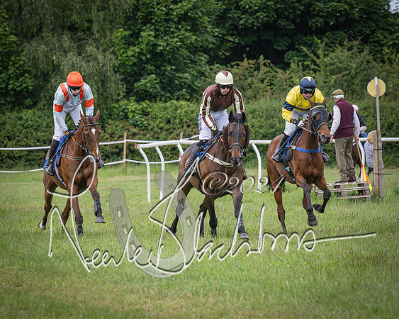 Race 1 - The owner-trainer Conditions race (34 of 118)