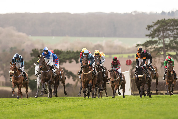 Race 2 - Young Horse Maiden (45 of 110).jpg
