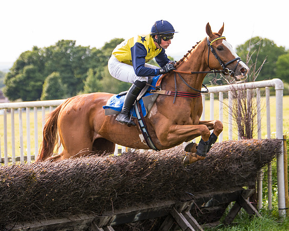 Race 6 - Open Maiden (139 of 346)