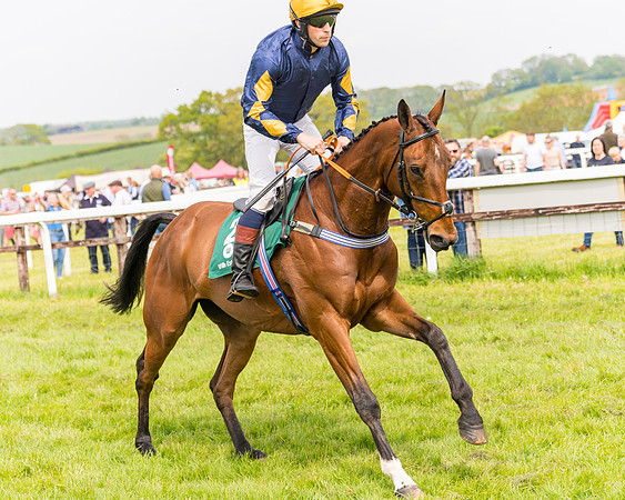 Race 2 - Owner-Trainer Conditions  (44 of 208)